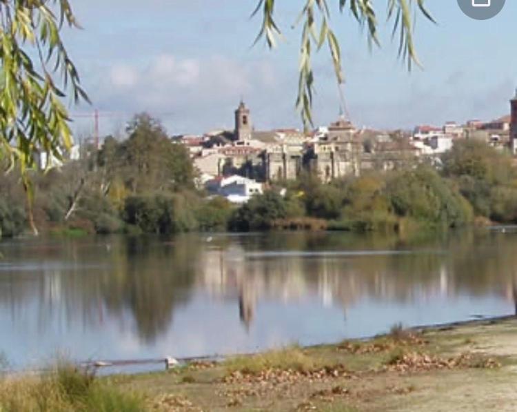 Alojamiento La Duquesita Appartement Alba De Tormes Buitenkant foto