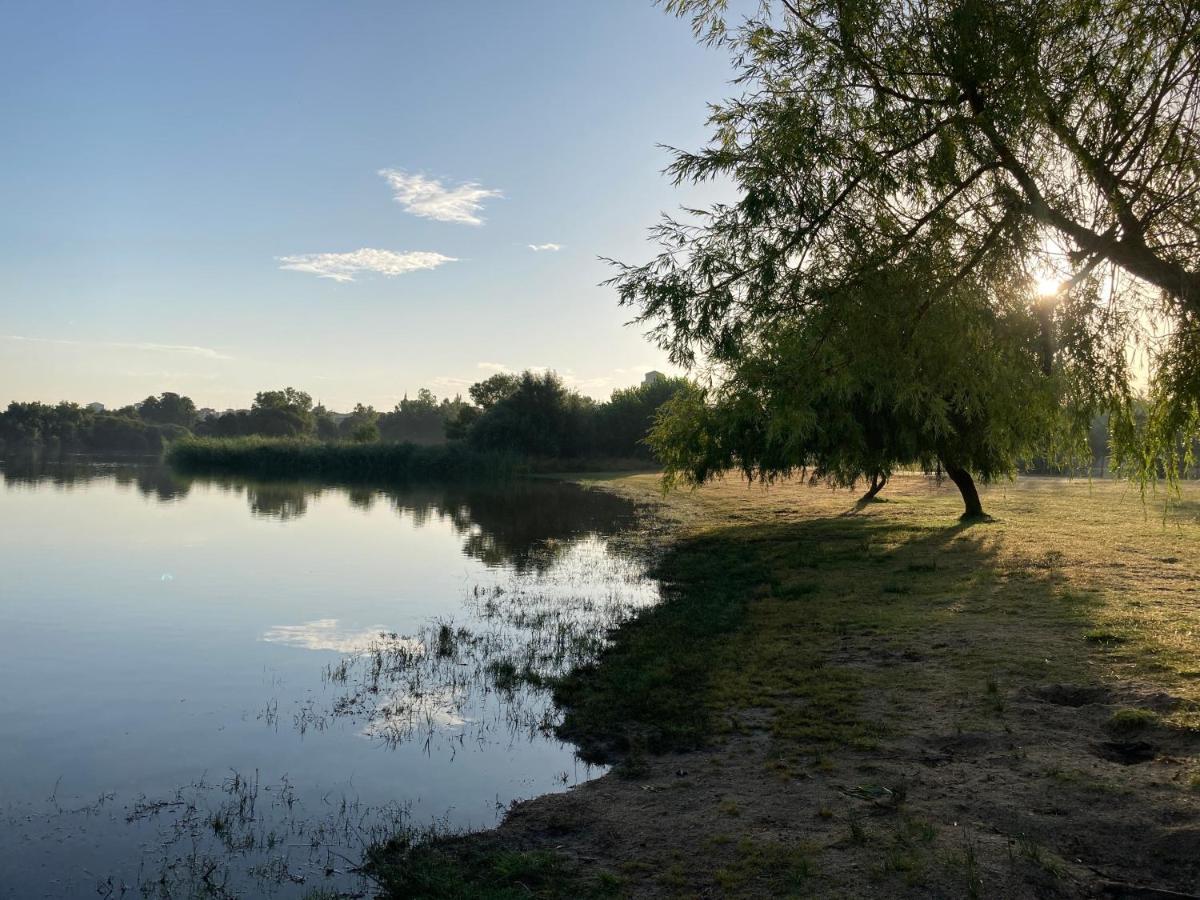 Alojamiento La Duquesita Appartement Alba De Tormes Buitenkant foto