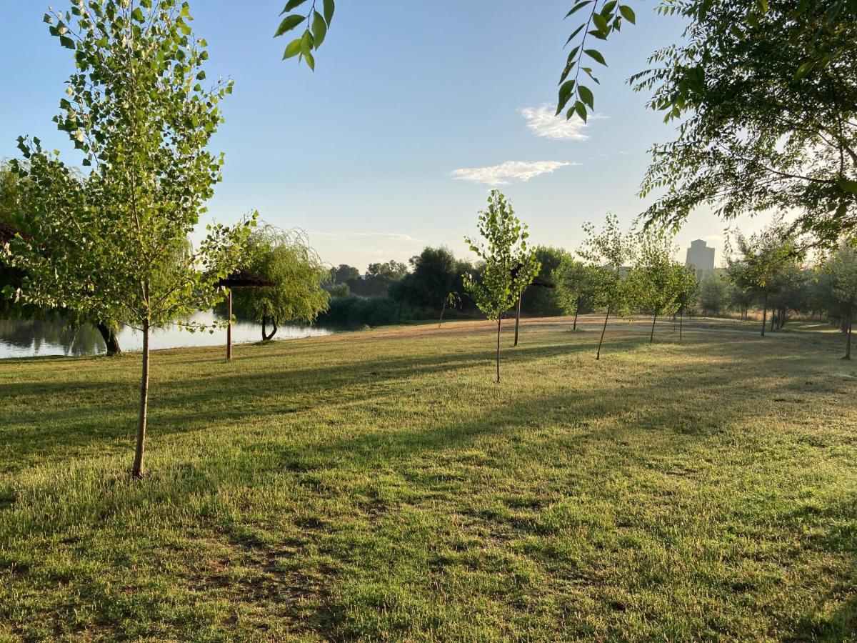 Alojamiento La Duquesita Appartement Alba De Tormes Buitenkant foto